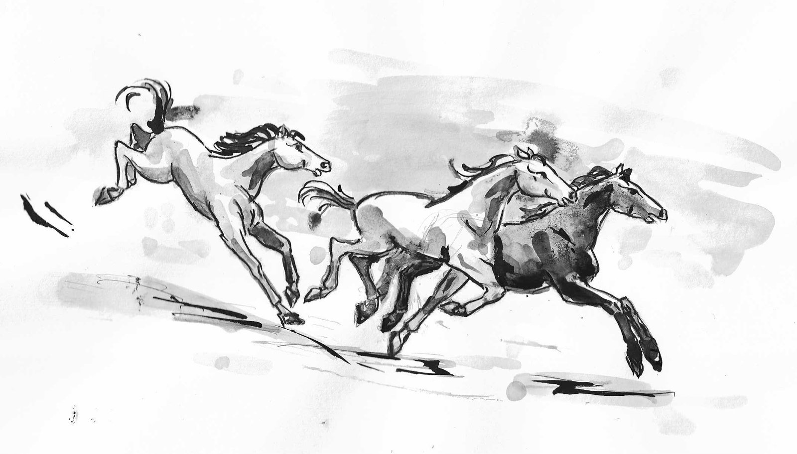 Horses at Gallop